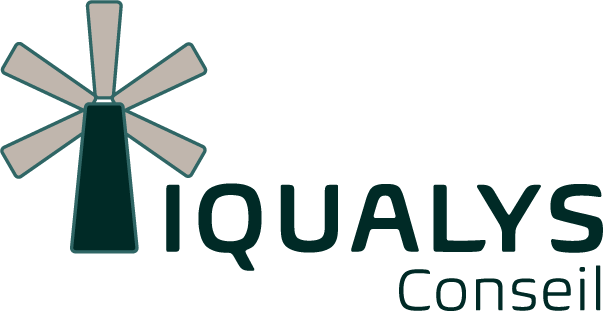 rank-flow-logo